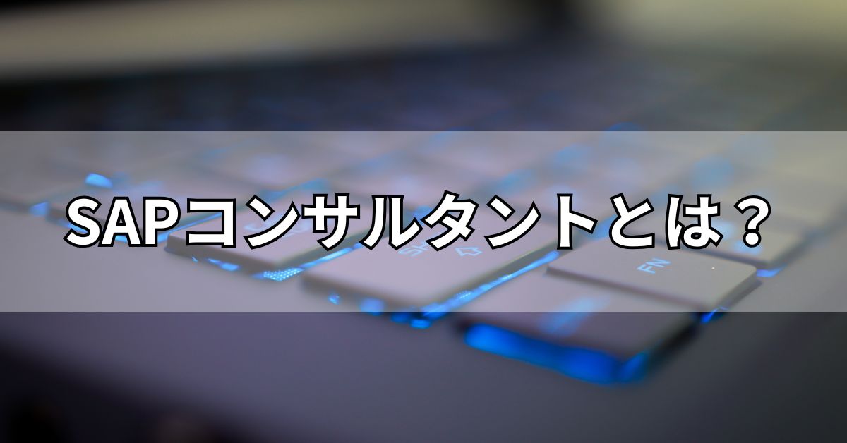 SAPコンサルタントとは？