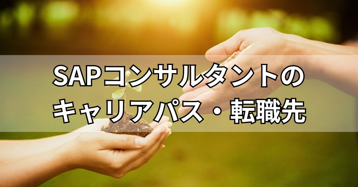 SAPコンサルタントのキャリアパス・転職先