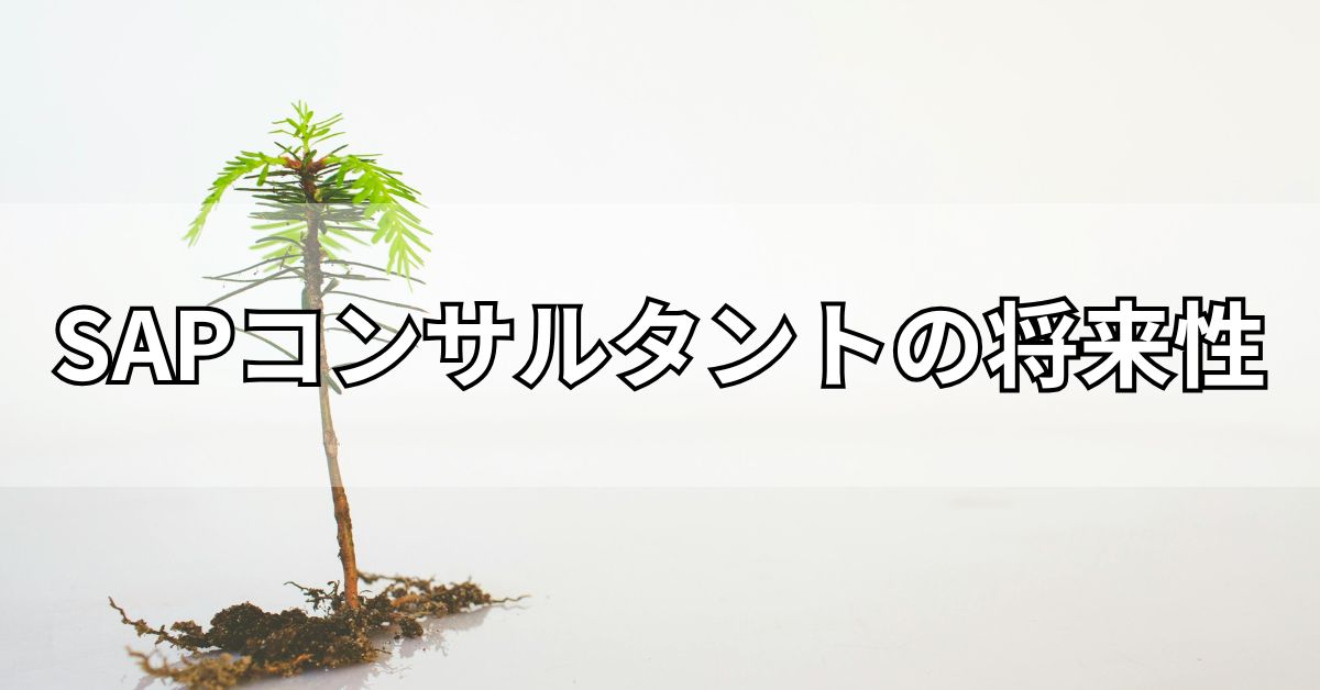 SAPコンサルタントの将来性