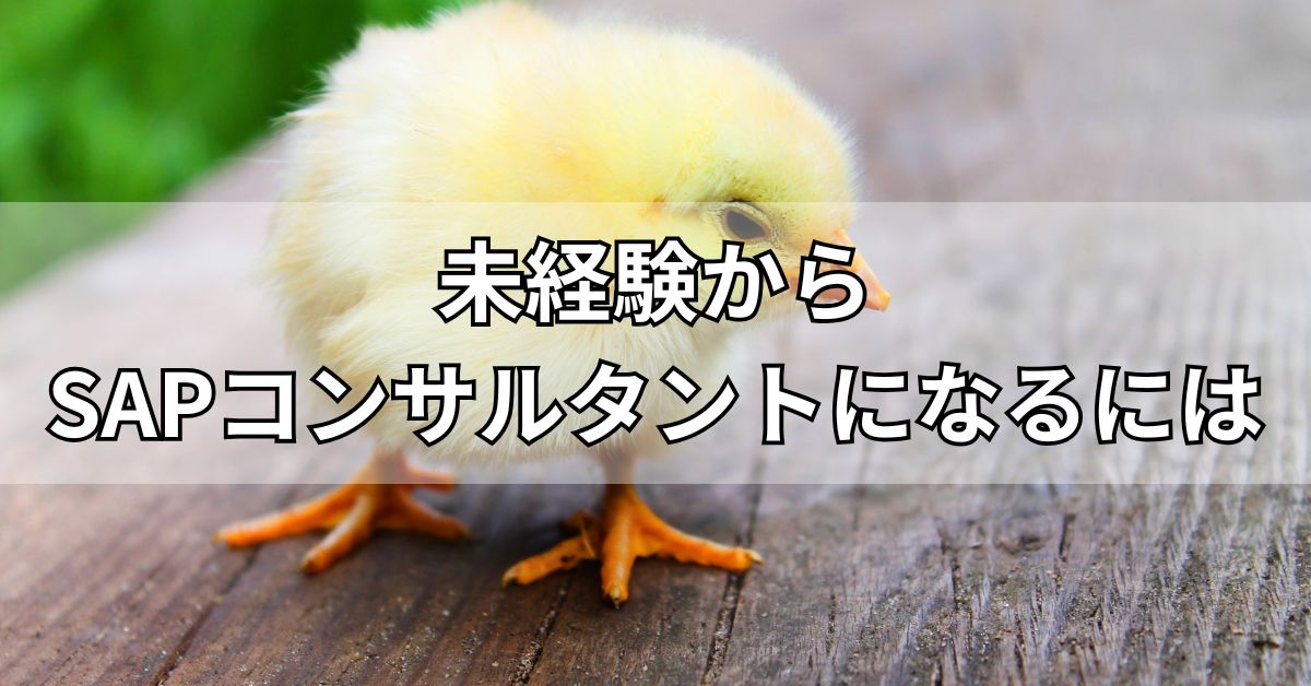 未経験からSAPコンサルタントになるには
