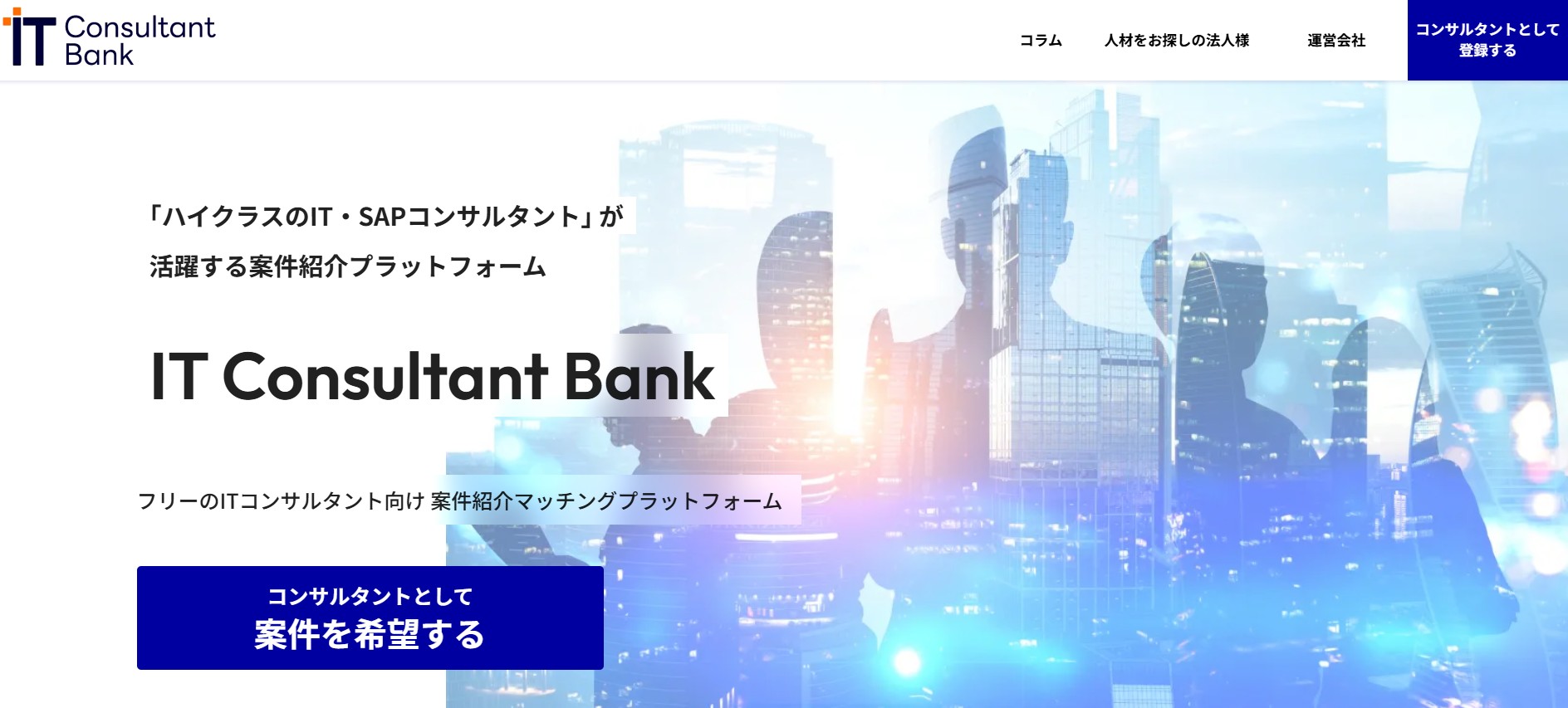 IT Consultant Bank