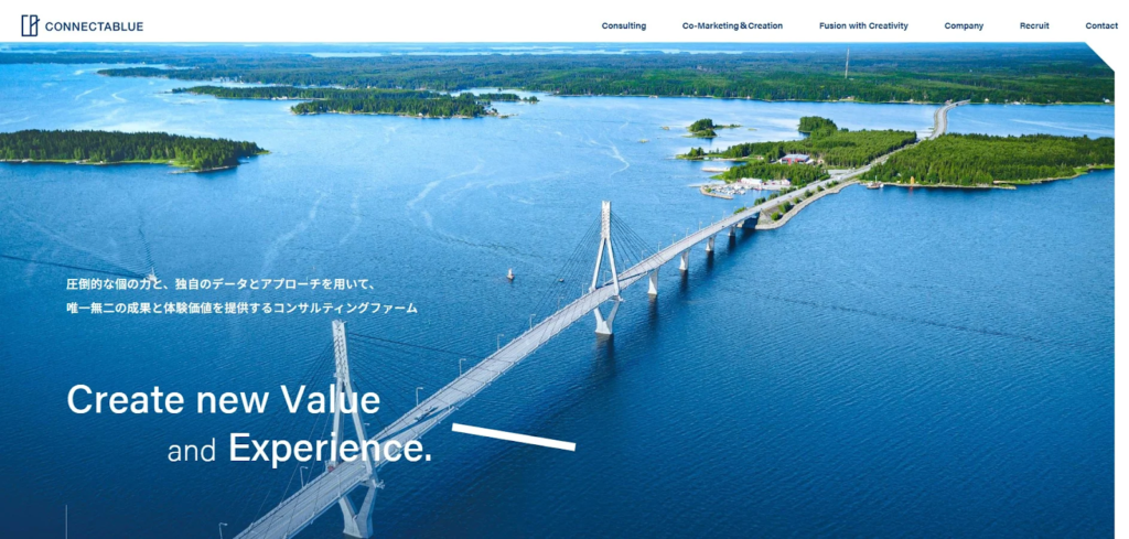 コネクタブルー