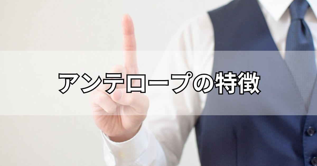 アンテロープの特徴