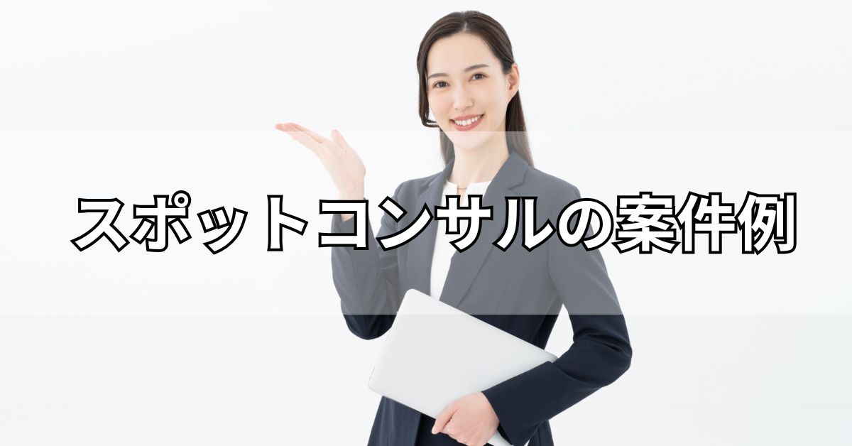 スポットコンサルの案件例