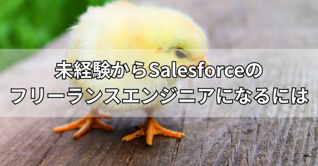 未経験からSalesforceのフリーランスエンジニアになるには