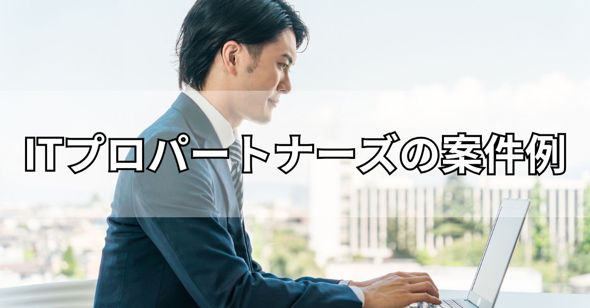 ITプロパートナーズの案件例