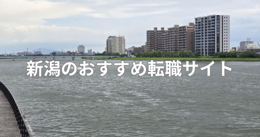 新潟のおすすめ転職サイト