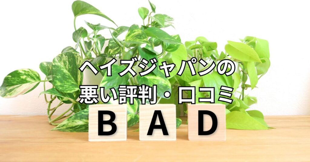 ヘイズジャパンの悪い評判・口コミ