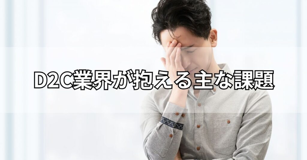 D2C業界が抱える主な課題