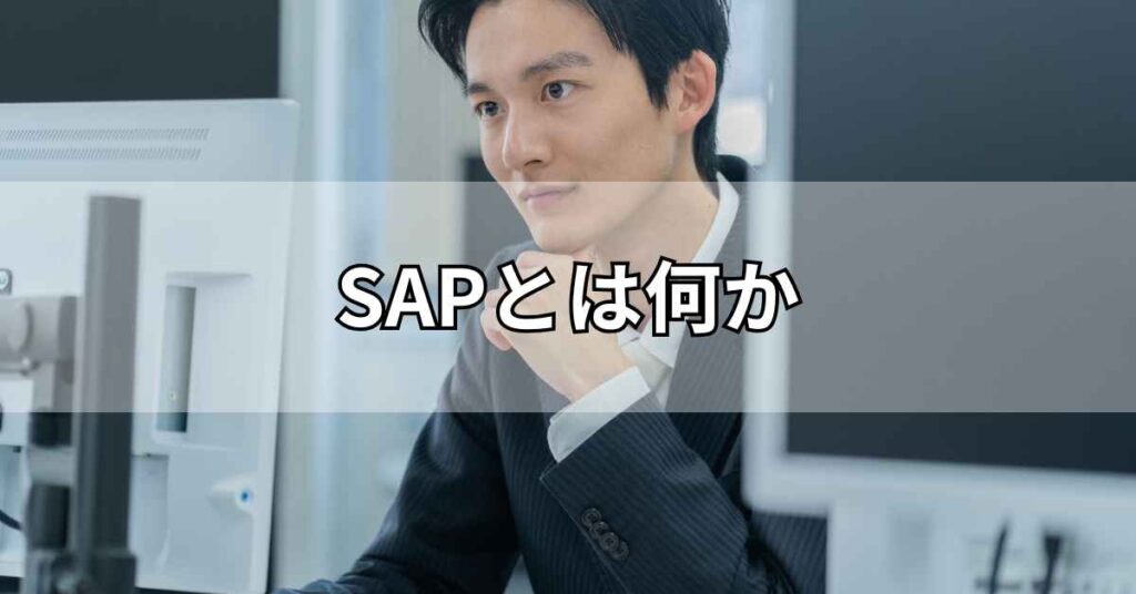 SAPとは何か