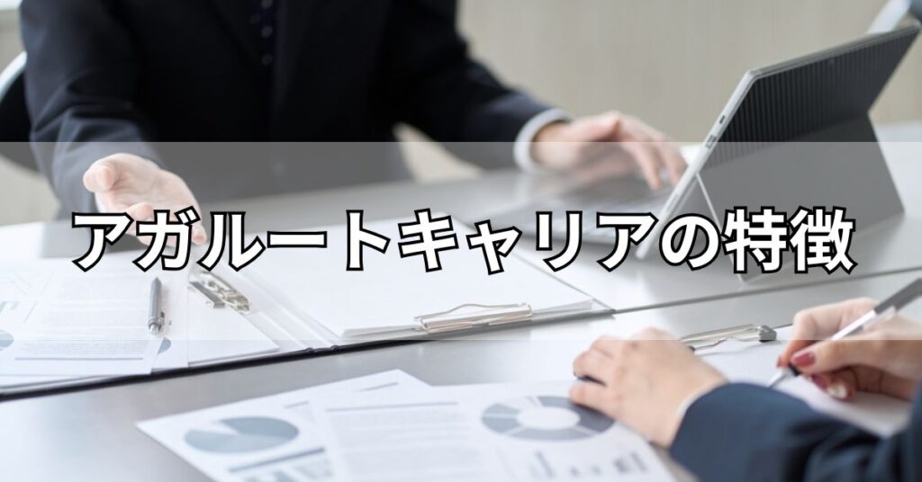 アガルートキャリアの特徴