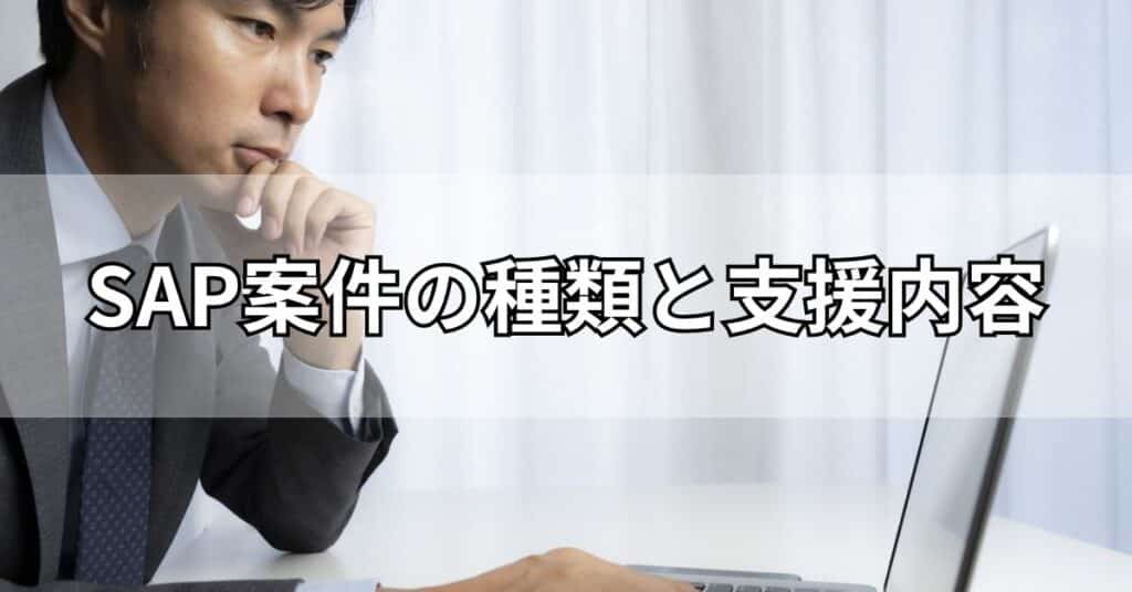 SAP案件の種類と支援内容