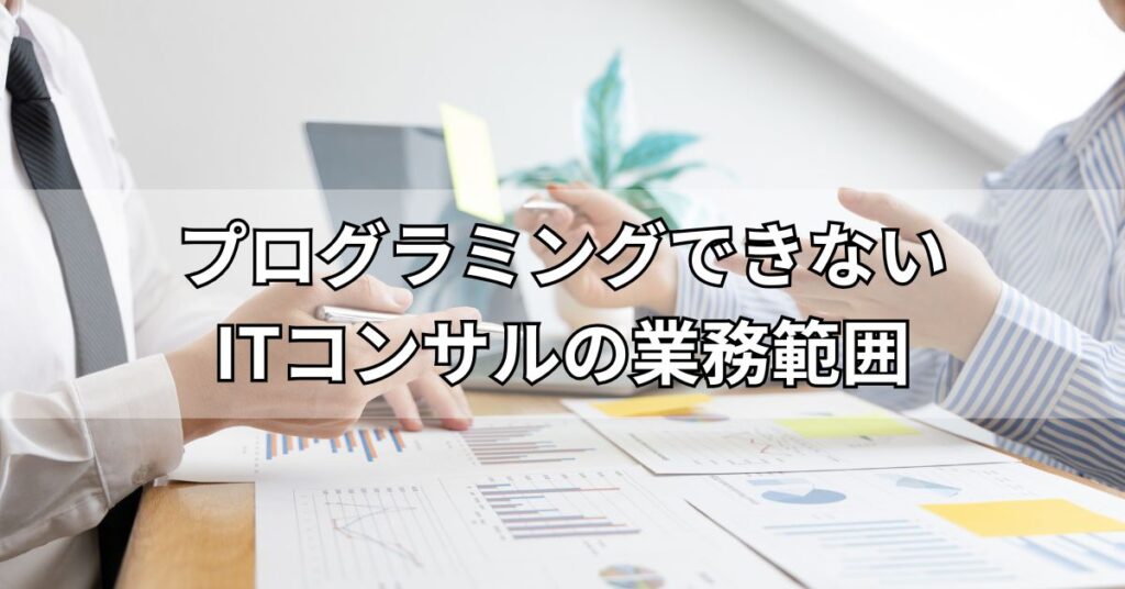 プログラミングできないITコンサルの業務範囲